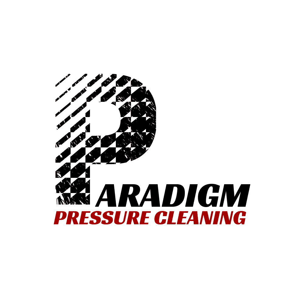 Pressure washer service logo design