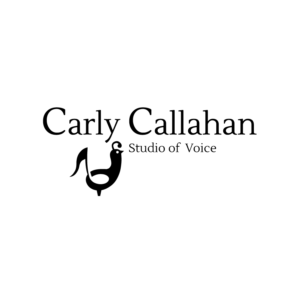 studio voice logo example