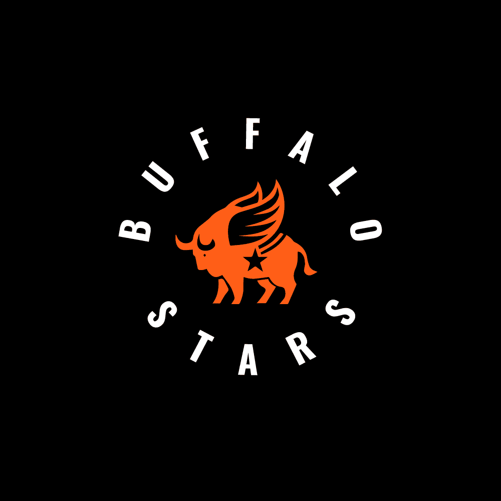 Buffalo stars soccer logo