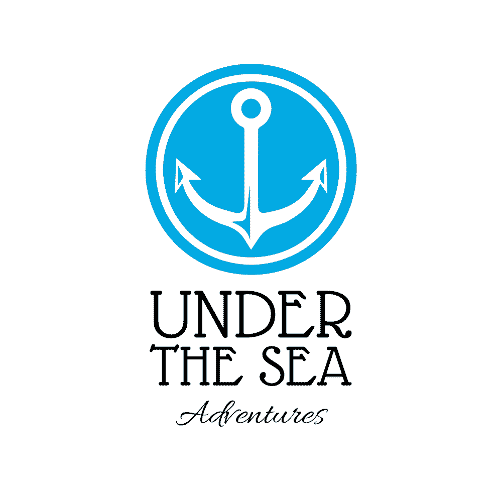 Ocean and voyage logo sample